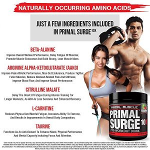 Primal Surge 1 Stamina Workout | Workout Stamina Primal Surge