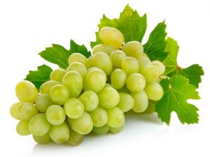 Grapes fruit to lose weight
