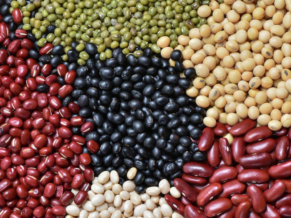 Legumes - cheapest protein foods in India