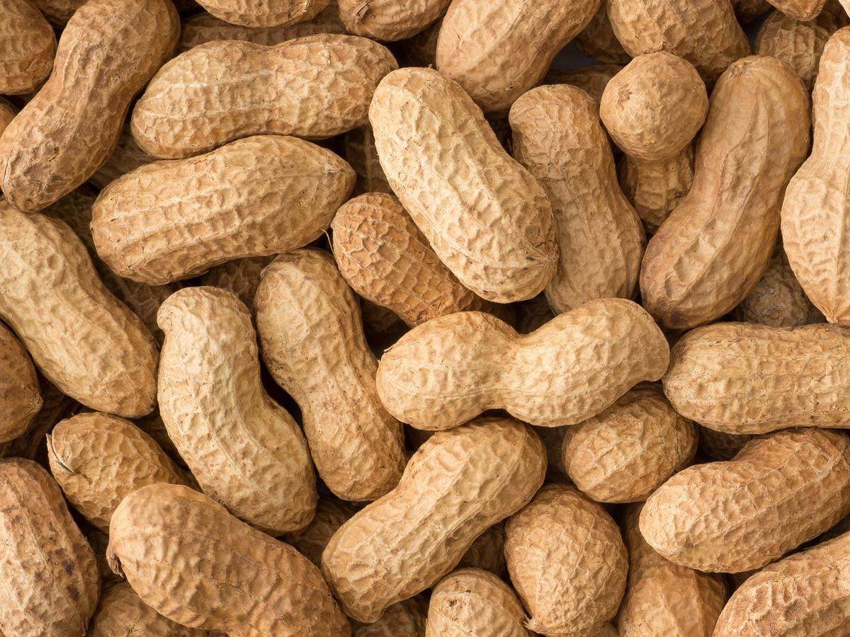 Peanuts- cheapest protein foods in India