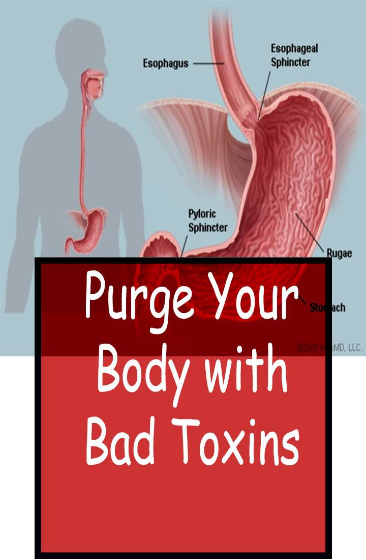 Purge Body Toxins