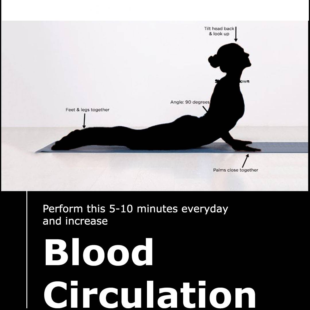 Blood Circulation - Cobra Pose