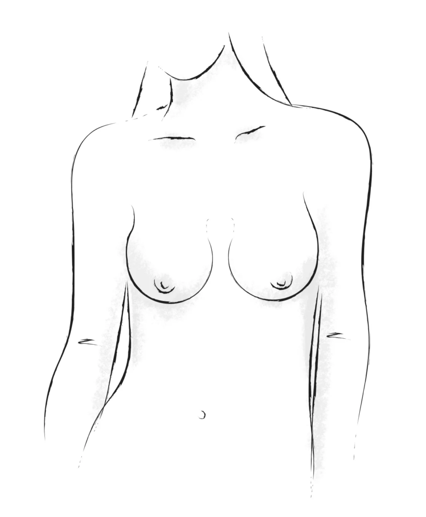 Bell Shape Breasts