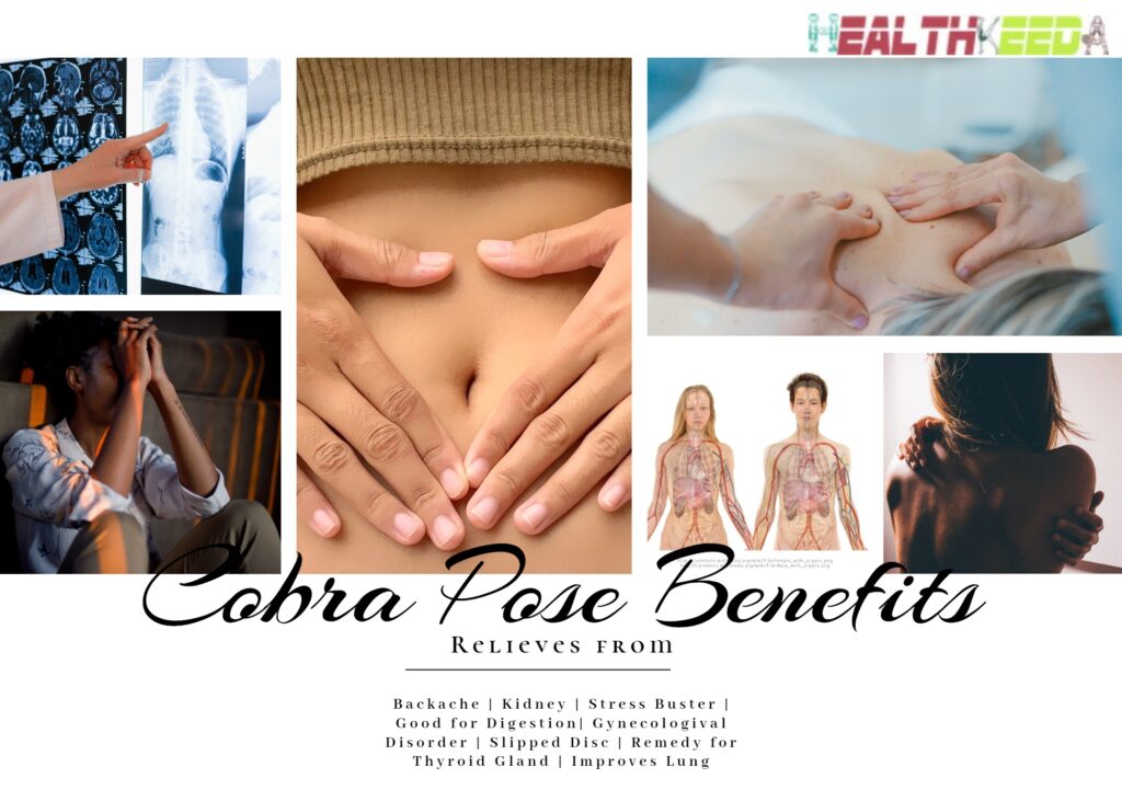 Photos Collage of Cobra Pose Benefits