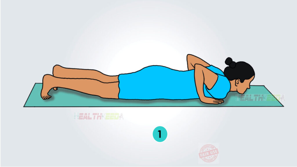 Bhujangasana/Cobra Yoga Pose Step 1 vector art