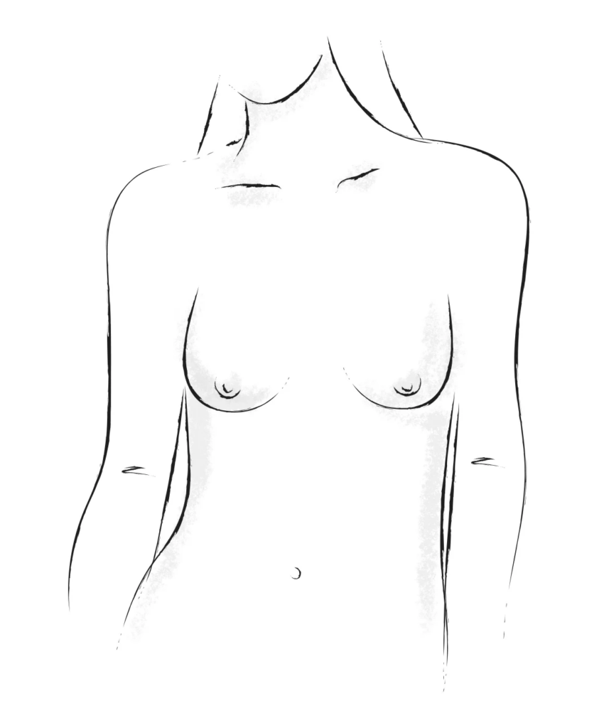 Slender breasts shape