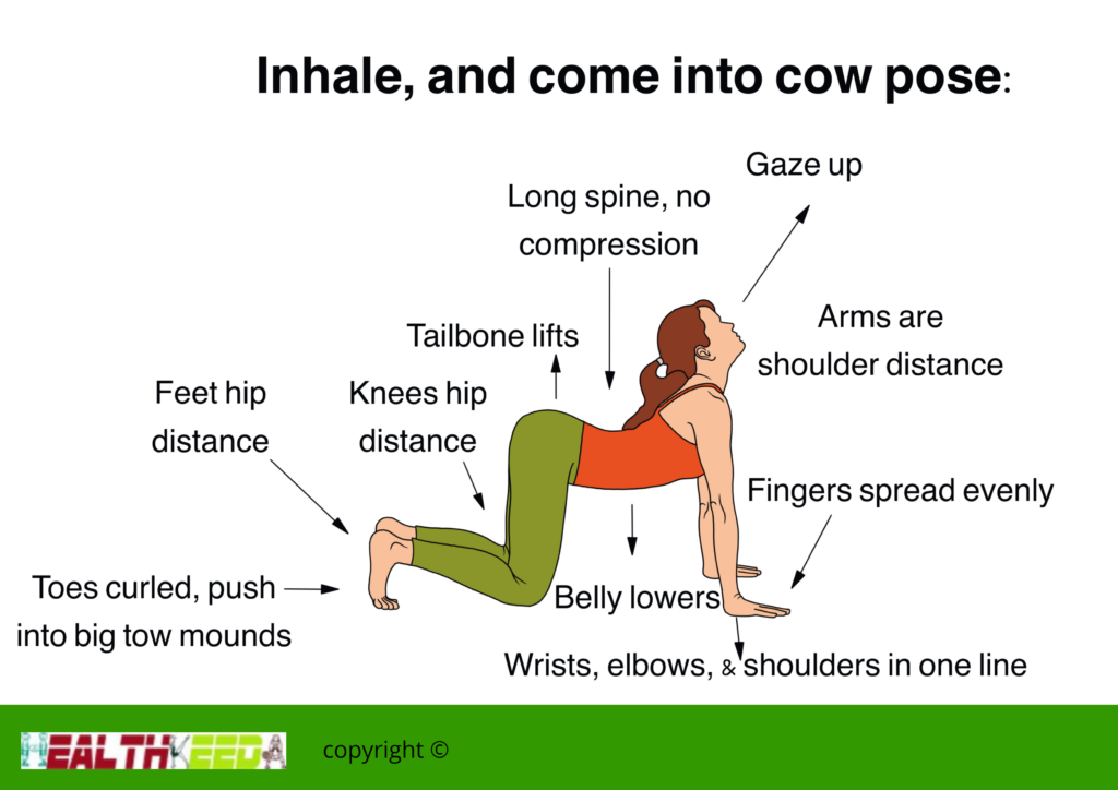 Gomukhasana Cow Face Pose Infographic