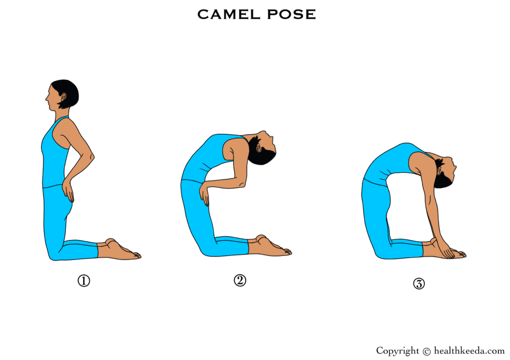 Camel Pose Steps 1,2,3