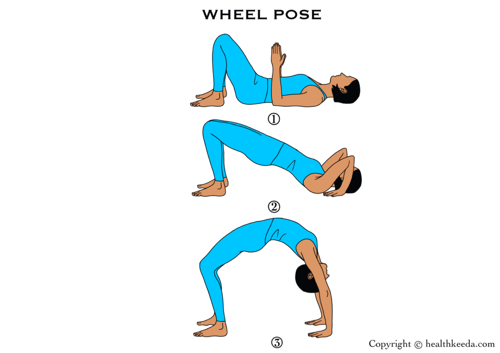 all poses of Wheel pose or Chakrasana - yoga for breast lift