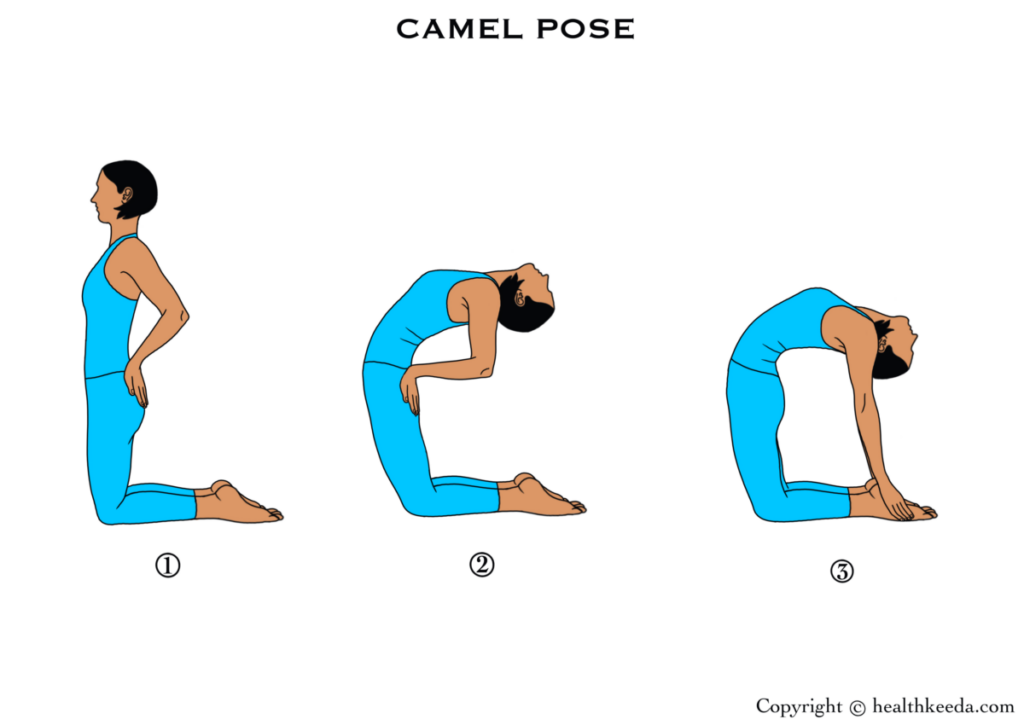 Image is showing all the steps of  Ustrasana or Camel Pose - how to cure thyroid by yoga