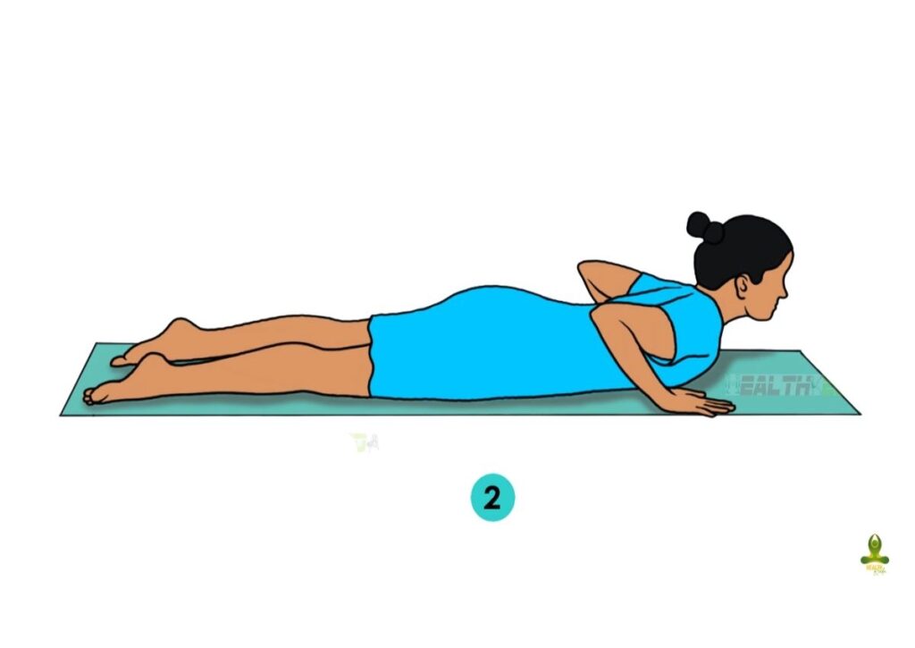 second step of Bhujangasana or Cobra Pose - yoga for thyroid cure