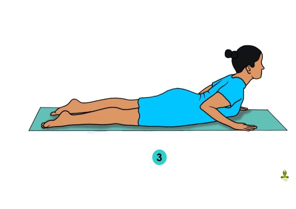 third step of Bhujangasana or Cobra Pose - yoga poses for thyroid with pictures