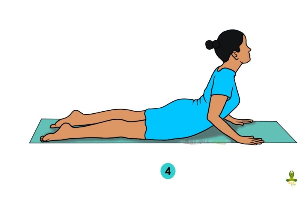 fourth step of Bhujangasana or Cobra Pose - yoga poses for thyroid with pictures