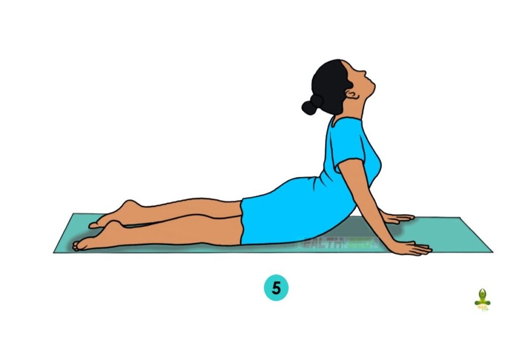Hold the posture of Bhujangasana or Cobra Pose - yoga for thyroid and weight loss