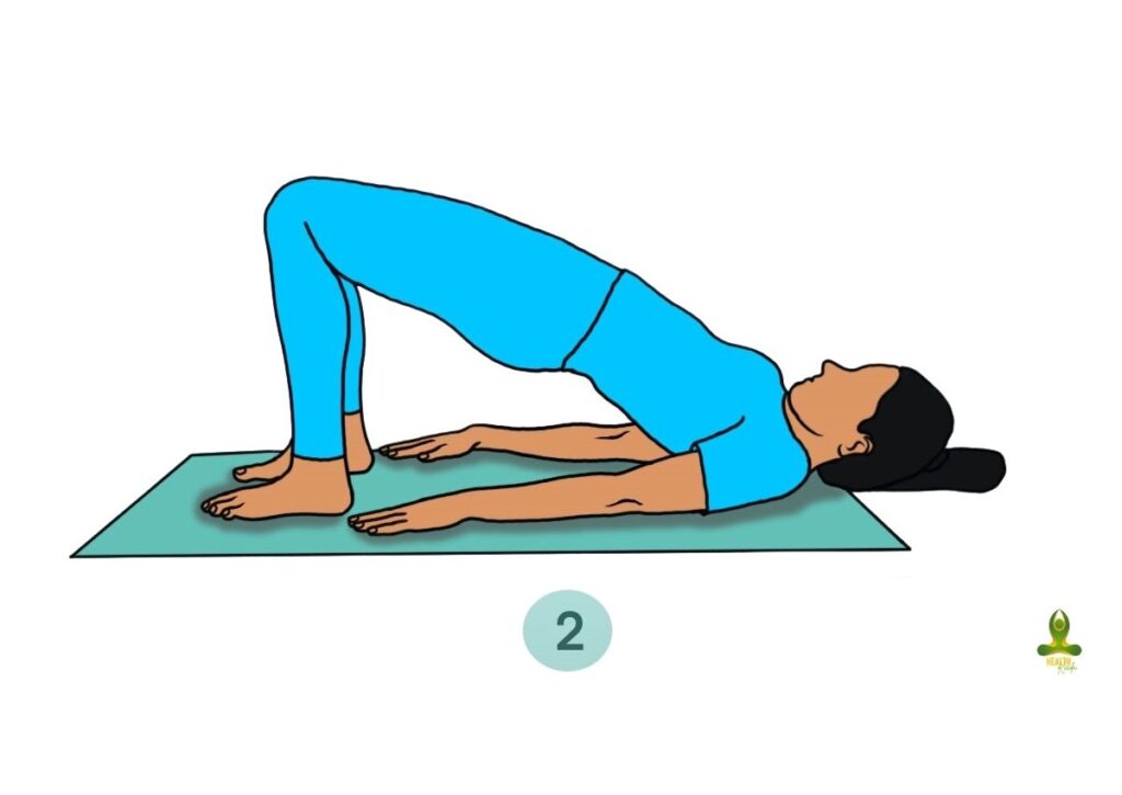 second step of Setu Bandhasana or Bridge Pose- yoga for thyroid cure