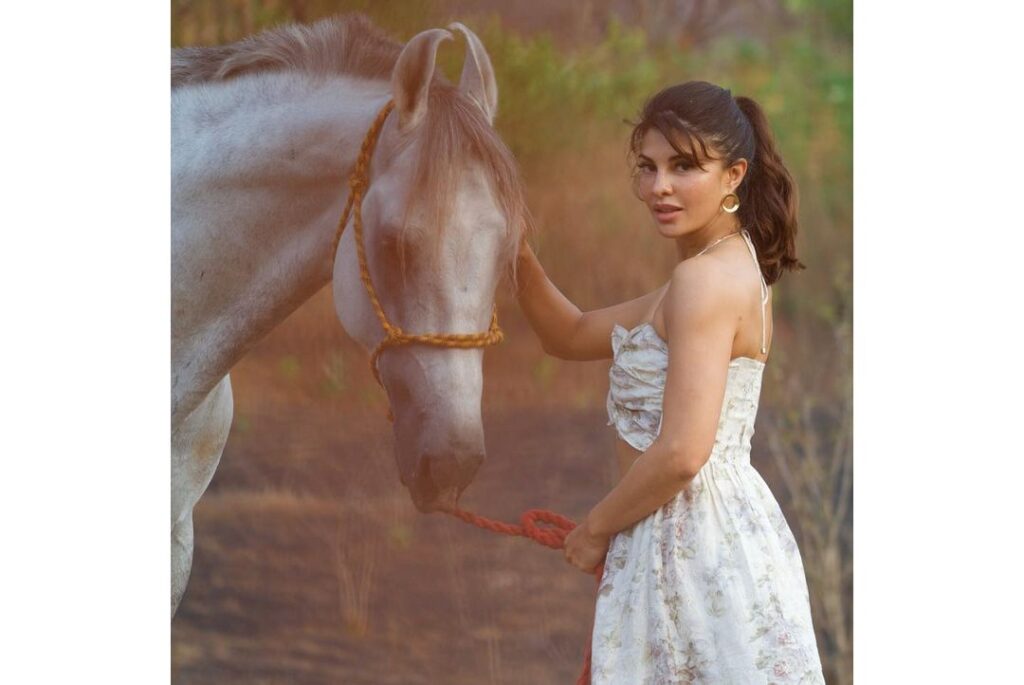 Jacqueline Fernandez hairstyle - high ponytail