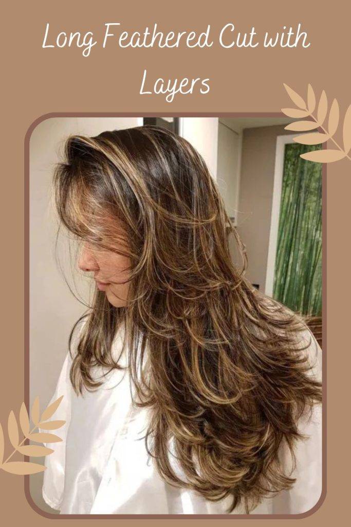 Long Feathered hairstyle -  layered Indian hairstyles