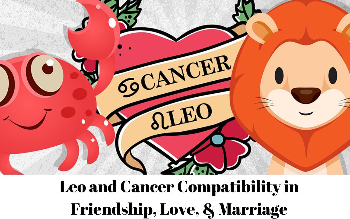 Leo And Cancer Compatibility In Friendship Love Marriage 