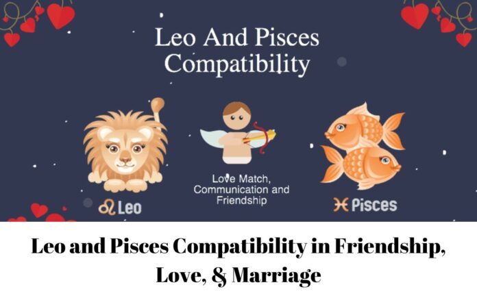 Leo and Pisces Compatibility in Friendship, Love, & Marriage