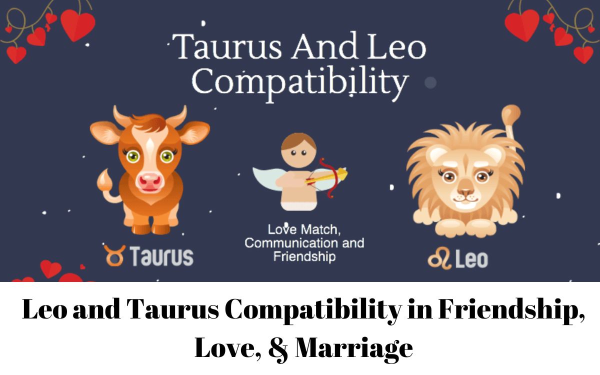 Leo and Taurus Compatibility in Friendship, Love, & Marriage