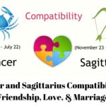 Cancer and Sagittarius Compatibility in Friendship, Love, & Marriage