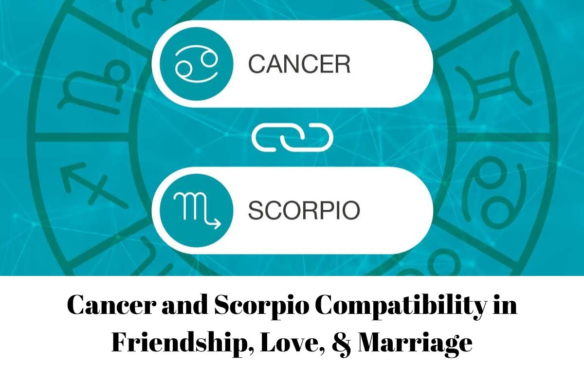 Cancer and Scorpio Compatibility in Friendship, Love, & Marriage