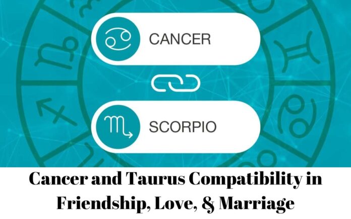 Cancer and Taurus Compatibility in Friendship, Love, & Marriage