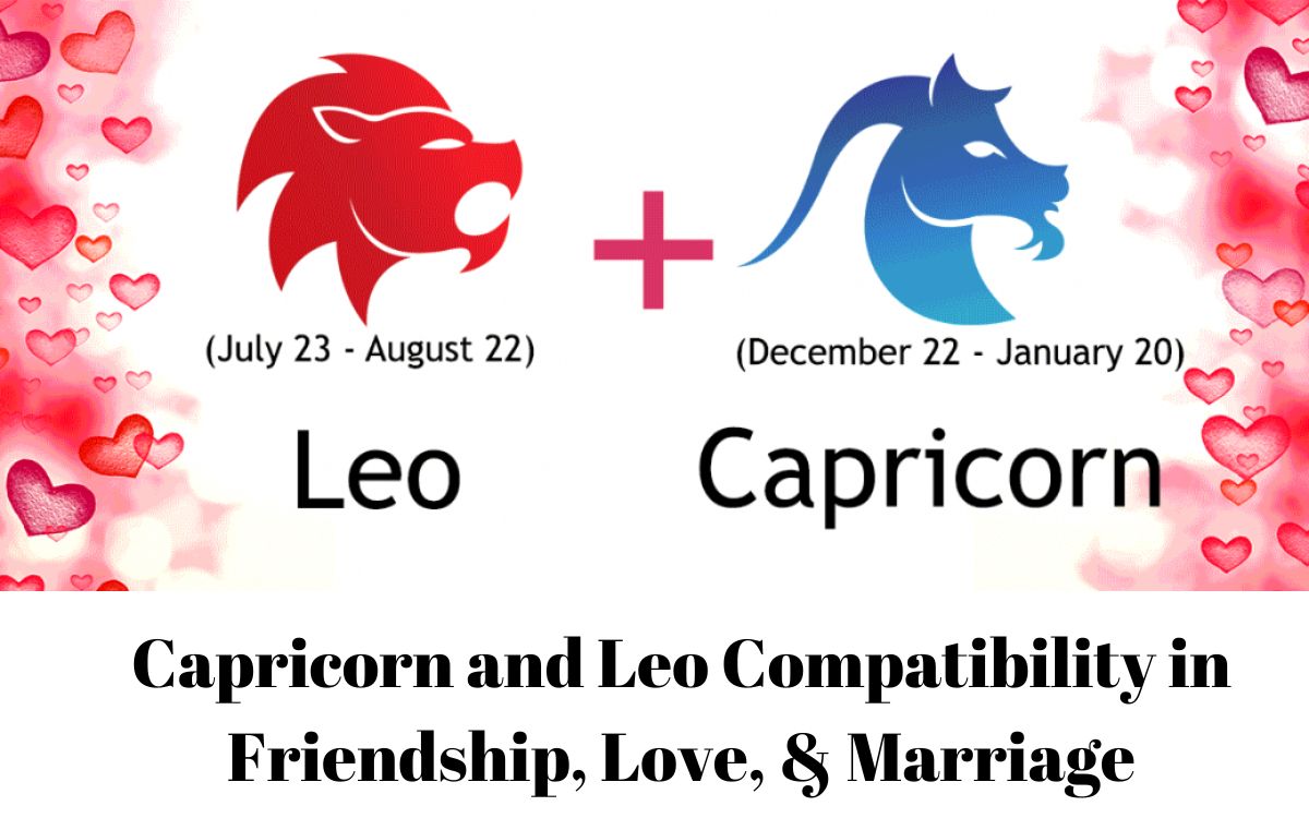 Capricorn and Leo Compatibility in Friendship, Love, & Marriage