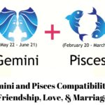 Gemini and Pisces Compatibility in Friendship, Love, & Marriage