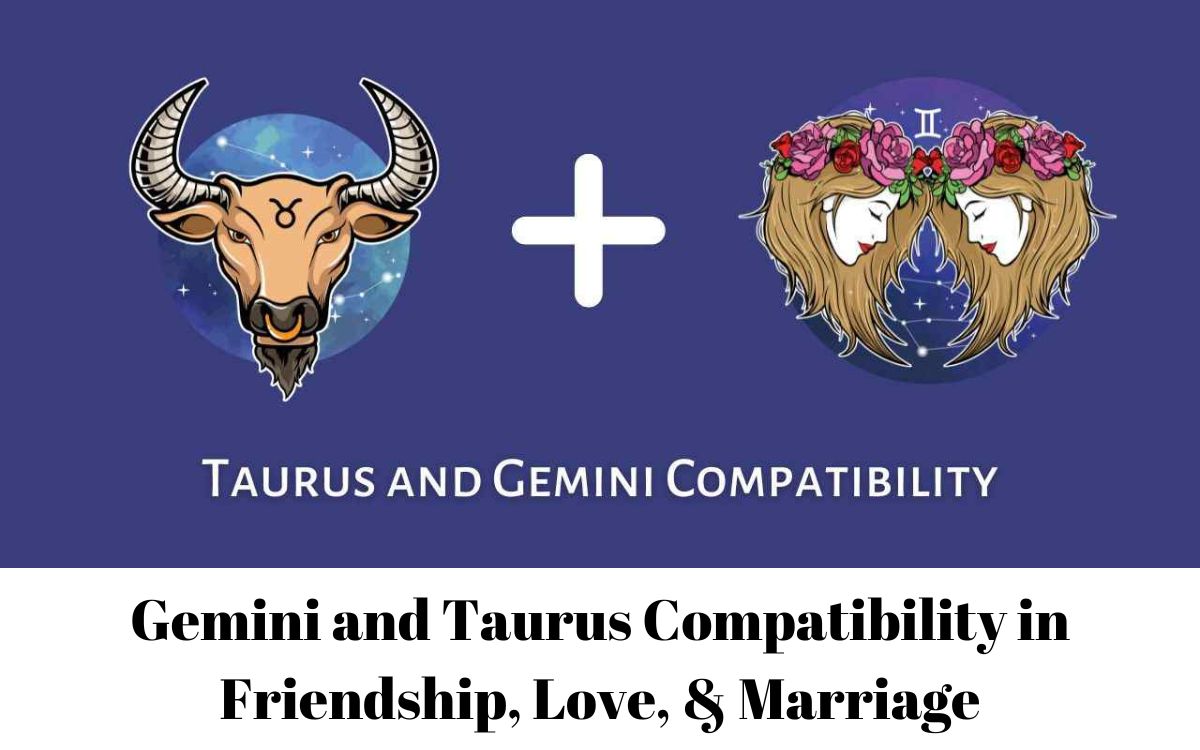 Gemini and Taurus Compatibility in Friendship, Love, & Marriage