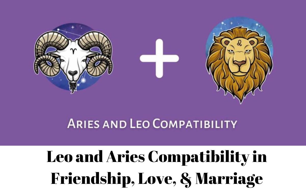 Leo and Aries Compatibility in Friendship, Love, & Marriage