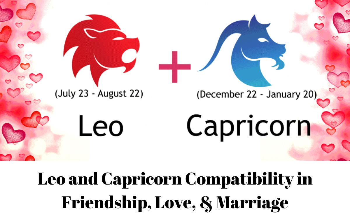 Leo and Capricorn Compatibility in Friendship, Love, & Marriage