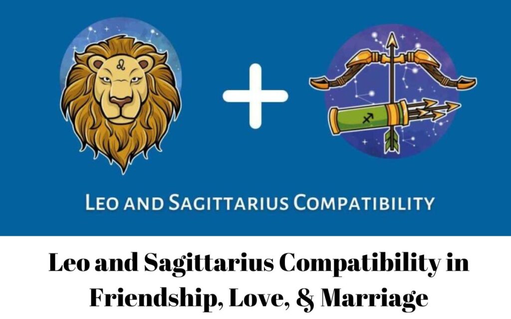 Leo and Sagittarius Compatibility in Friendship, Love, & Marriage
