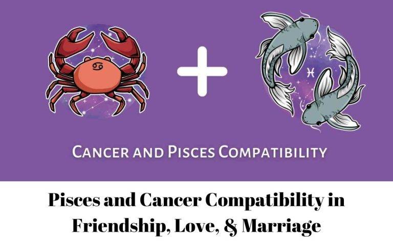 Pisces And Cancer Compatibility In Friendship Love Marriage 768x480 