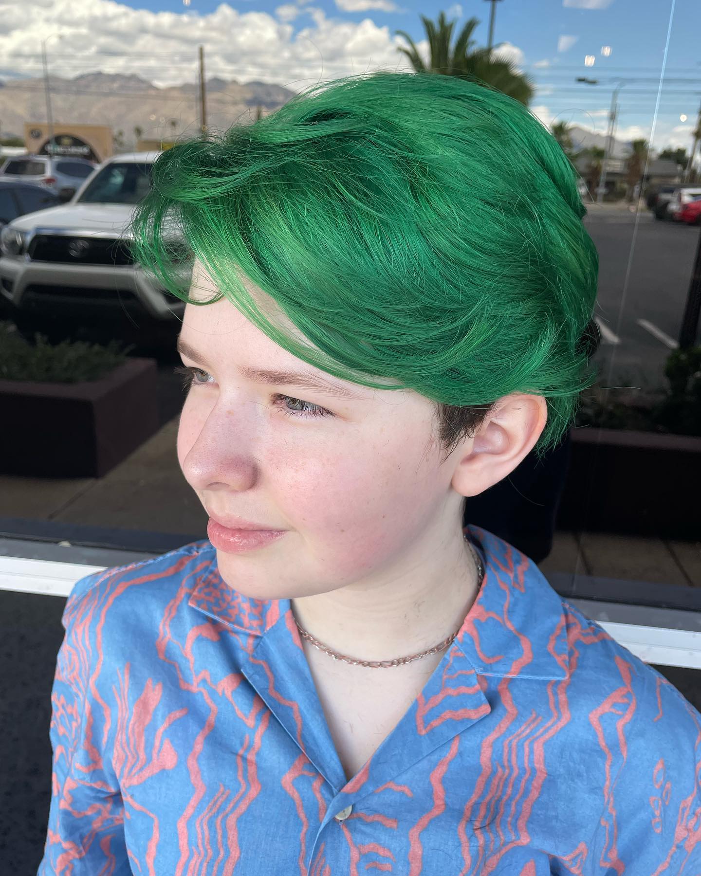 Green Hair color 43 face shape | green hair color | green hair color for women Green Hair Color ideas