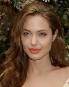 Angelina Jolie Hairstyle 115