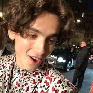 Timothee Chalamet Hairstyle 10