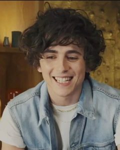 Timothee Chalamet Hairstyle 100