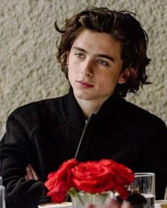 Timothee Chalamet Hairstyle 105