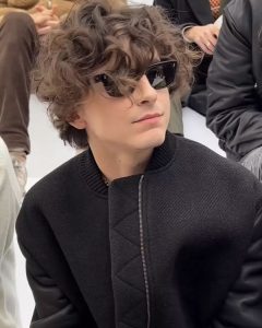 Timothee Chalamet Hairstyle 106