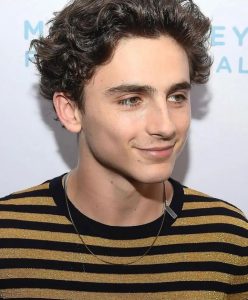 Timothee Chalamet Hairstyle 107