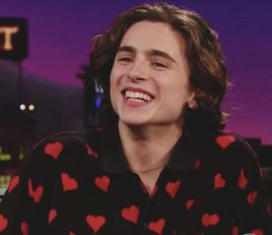 Timothee Chalamet Hairstyle 15