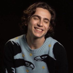 Timothee Chalamet Hairstyle 17