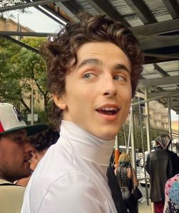 Timothee Chalamet Hairstyle 18