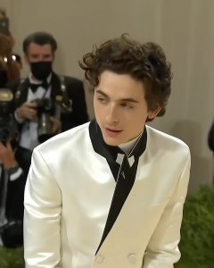 Timothee Chalamet Hairstyle 19