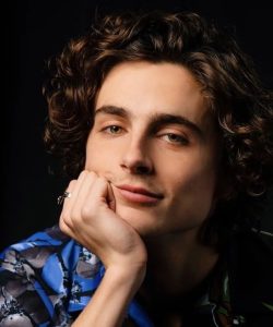 Timothee Chalamet Hairstyle 22