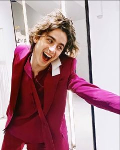 Timothee Chalamet Hairstyle 24