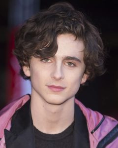 Timothee Chalamet Hairstyle 27