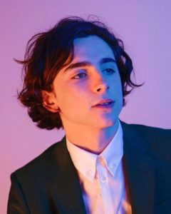 Timothee Chalamet Hairstyle 28