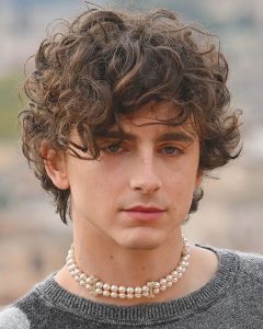 Timothee Chalamet Hairstyle 3